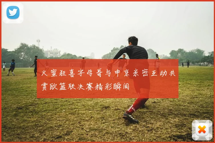 火蜜狂喜字母哥与申京亲密互动共赏欧篮联决赛精彩瞬间